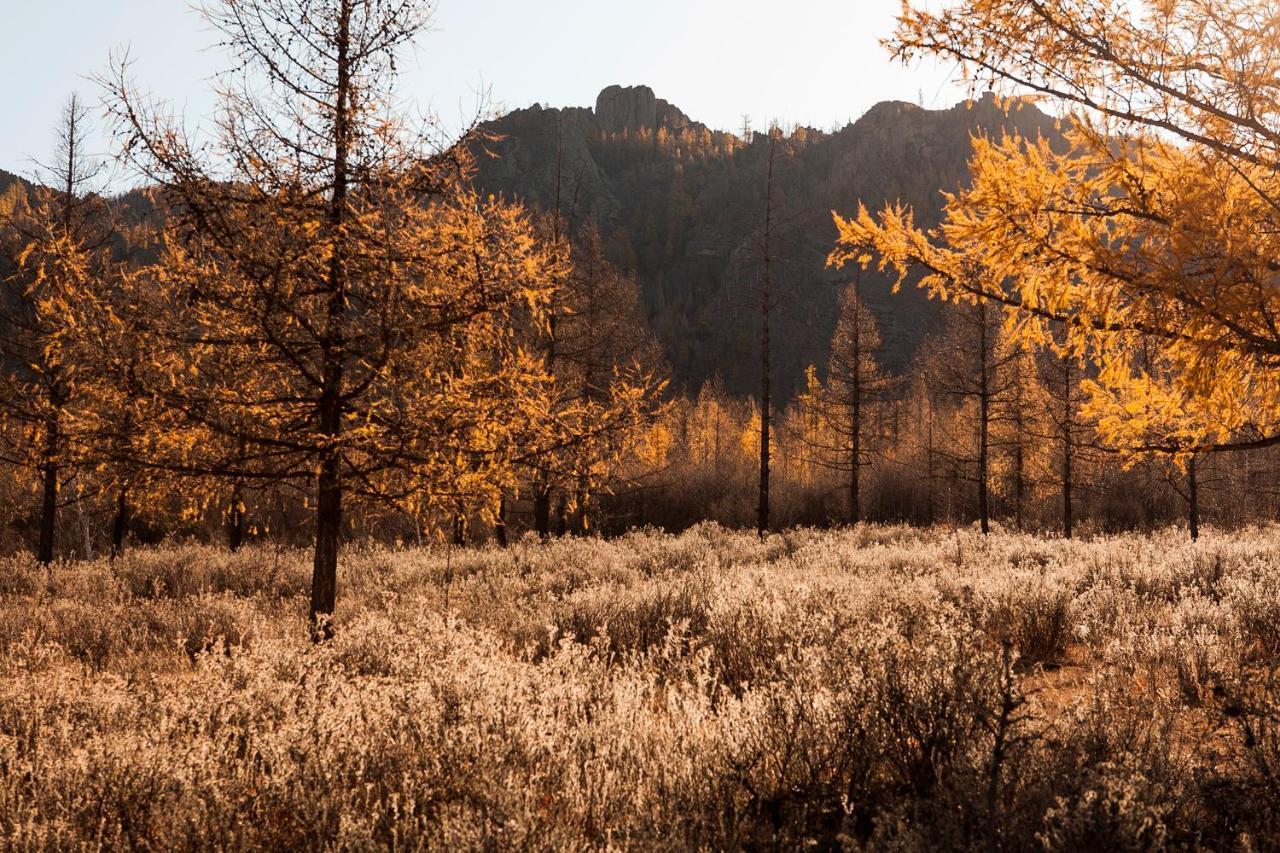 Terelj Resort Bayan Bulagiin Hural Dış mekan fotoğraf